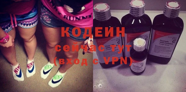 шишки Аша