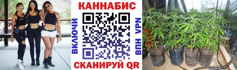 цена наркотик Лысьва Конопля индика